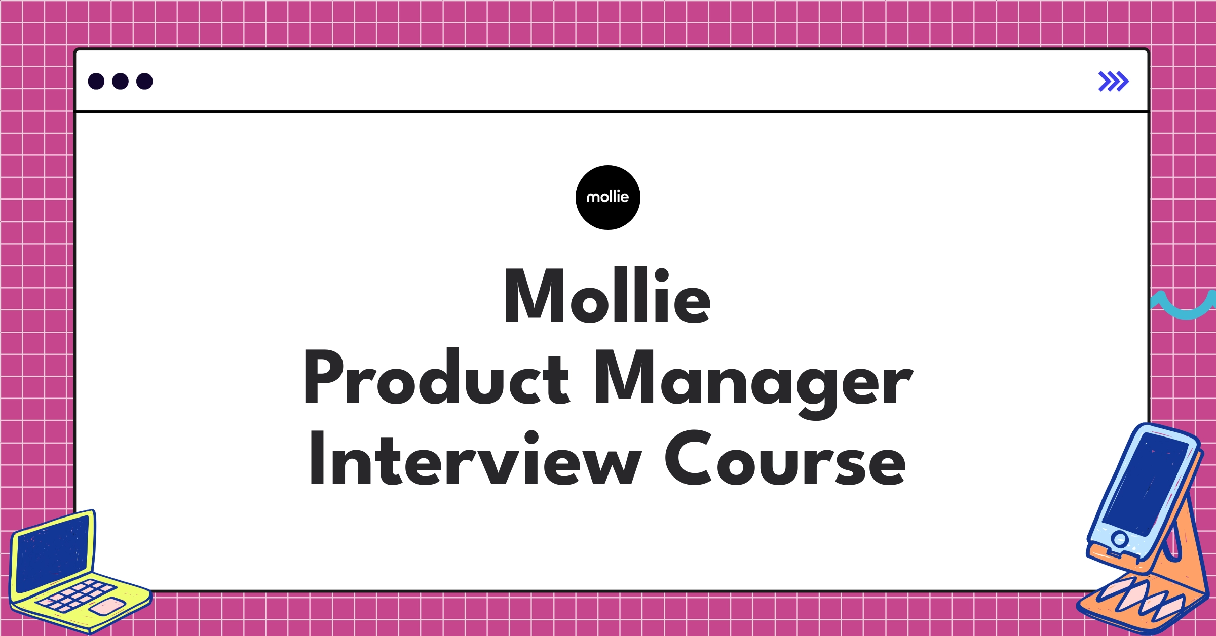 Mollie Product Manager Course