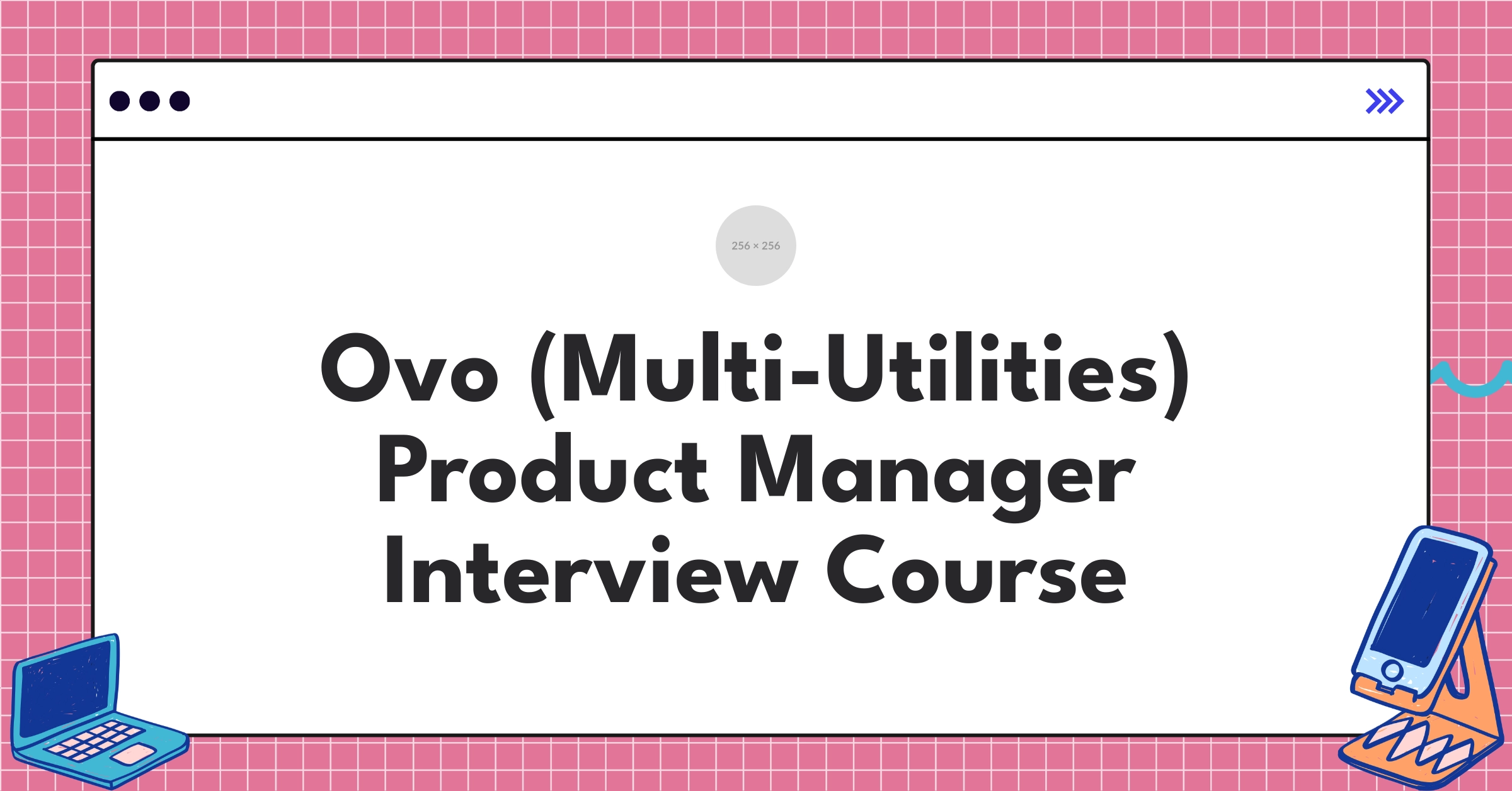 Ovo (Multi-Utilities) Product Manager Course