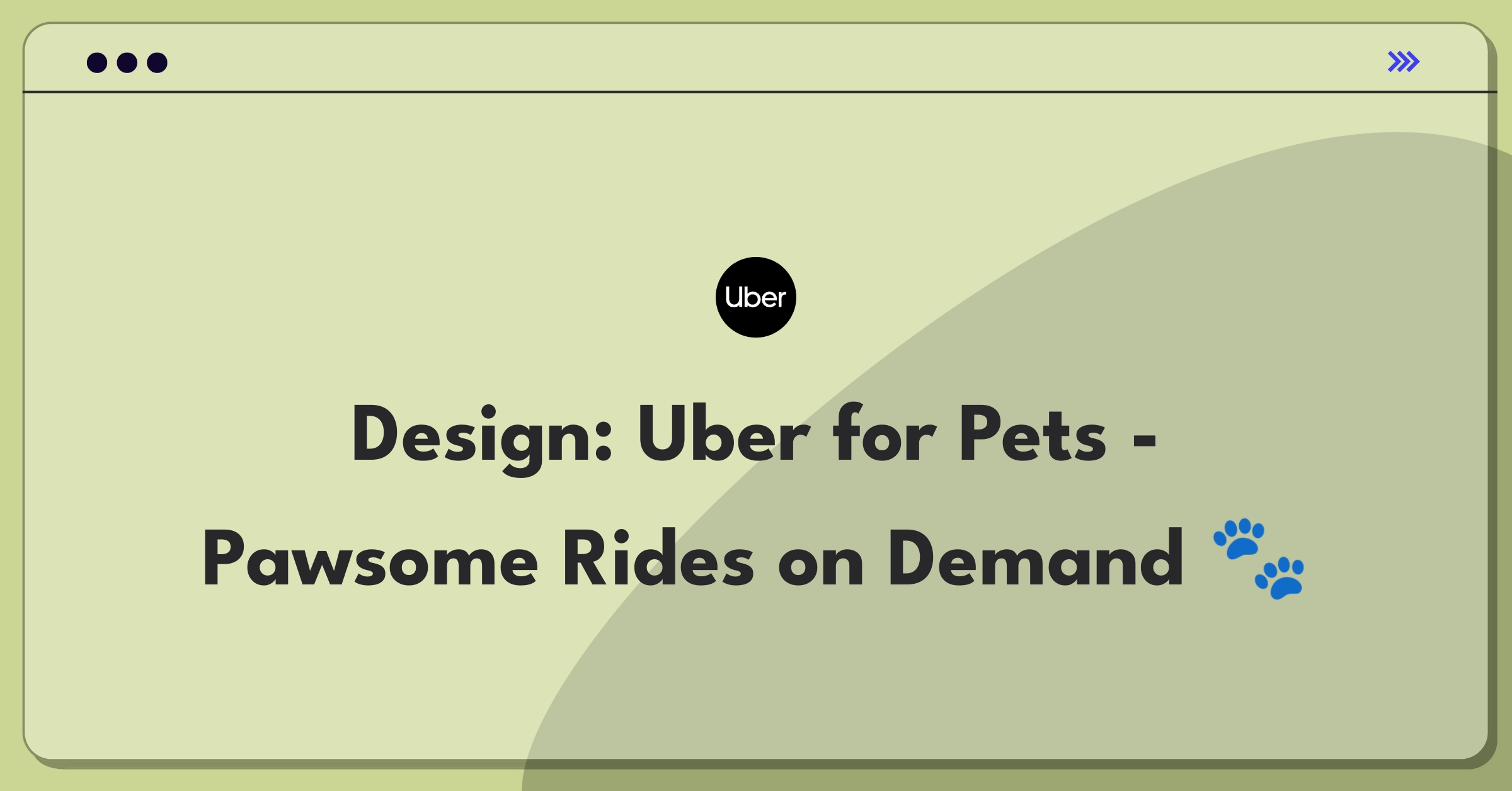 Product Management Design Question: Conceptualize an on-demand pet transportation service similar to Uber